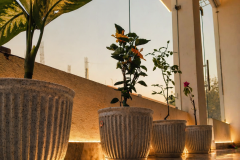 flowerpot